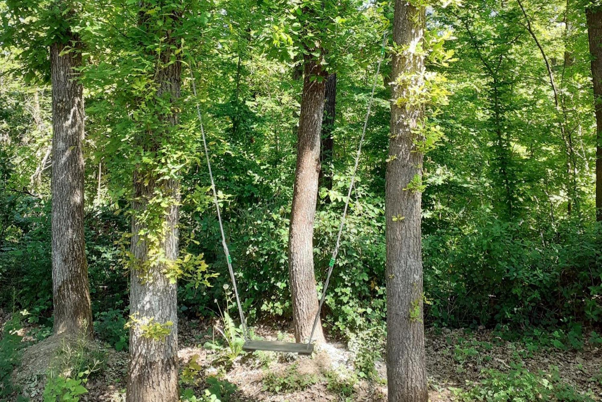 Ardentardenne - * Durbuy